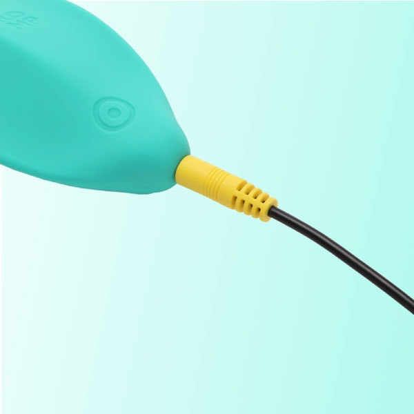 롬프 충전 케이블