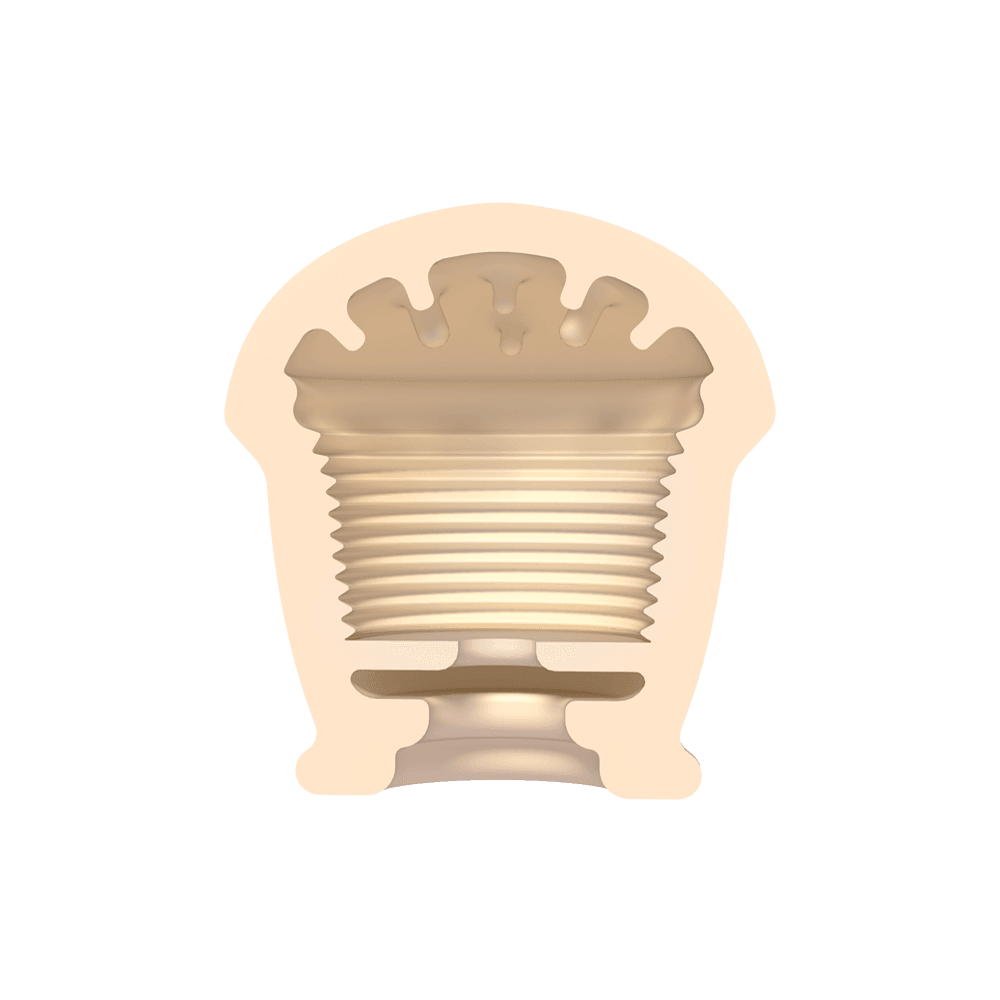 로마 머핀 바나나 소프트